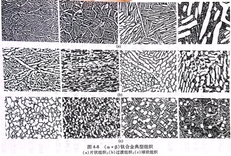 （α+β）鈦合金典型組織