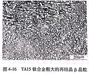TA15鈦合金粗大的再結(jié)晶β晶粒