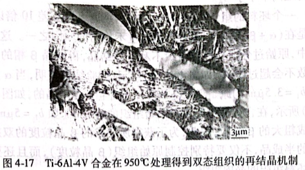 Ti-6Al-4V合金在950°C處理得到雙態(tài)組織的再結(jié)晶機(jī)制