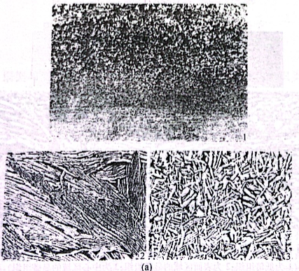 具有正向和逆向區(qū)域不均勻性的BT9合金盤模鍛件低倍組織的顯微組織