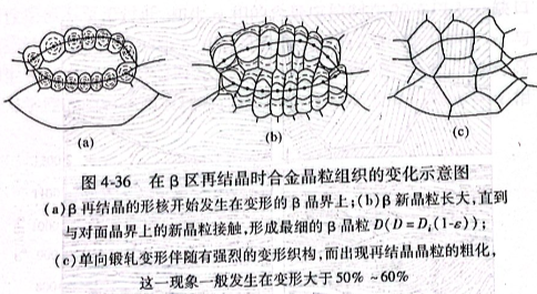 在β區(qū)再結(jié)晶時合金晶粒組織的變化示意圖