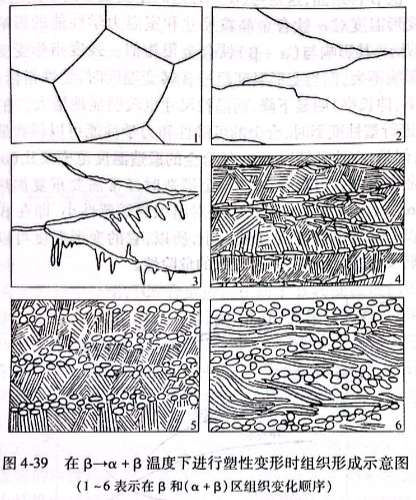 在β→α+β溫度下進行塑性變形時組織形成示意圖
