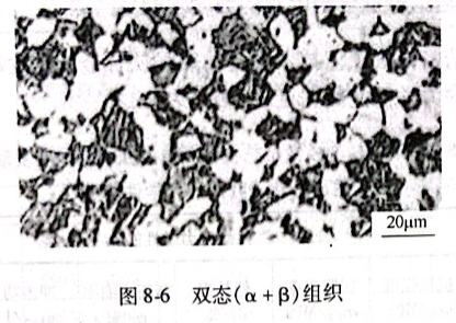 雙態(tài)（α+β）組織