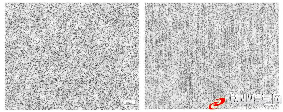 φ22鈦合金TC4盤卷